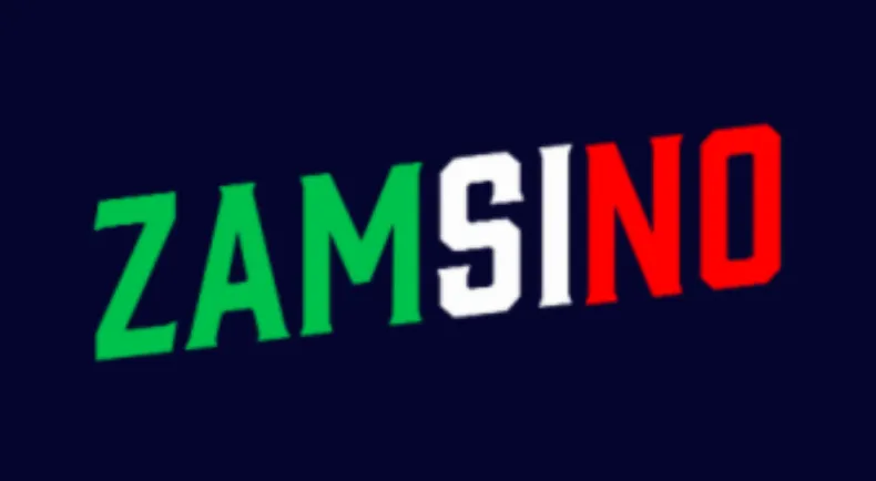 https://zamsino-it.com/ 